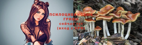 бутират Абинск