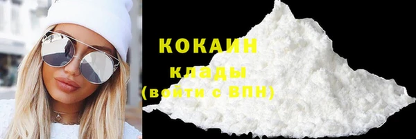 крисы Алзамай
