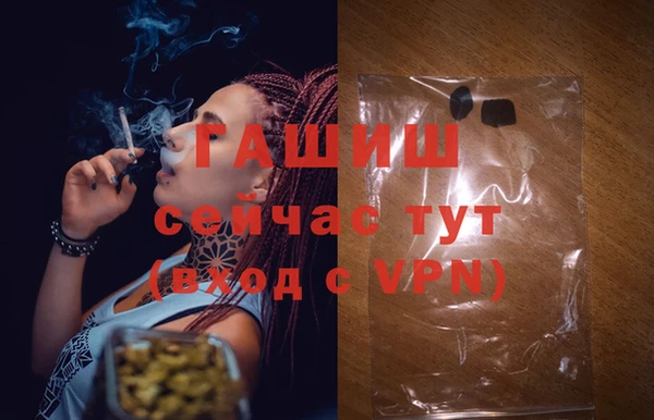 крисы Алзамай