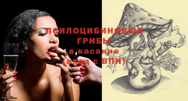 крисы Алзамай