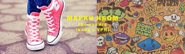 крисы Алзамай