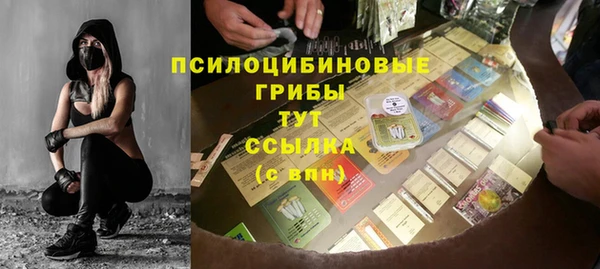 крисы Алзамай